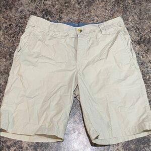 Classic Men's Beige Flat Front Shorts
